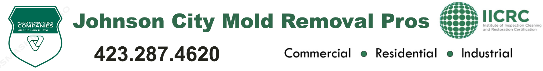 Johnson City Mold Removal Pros